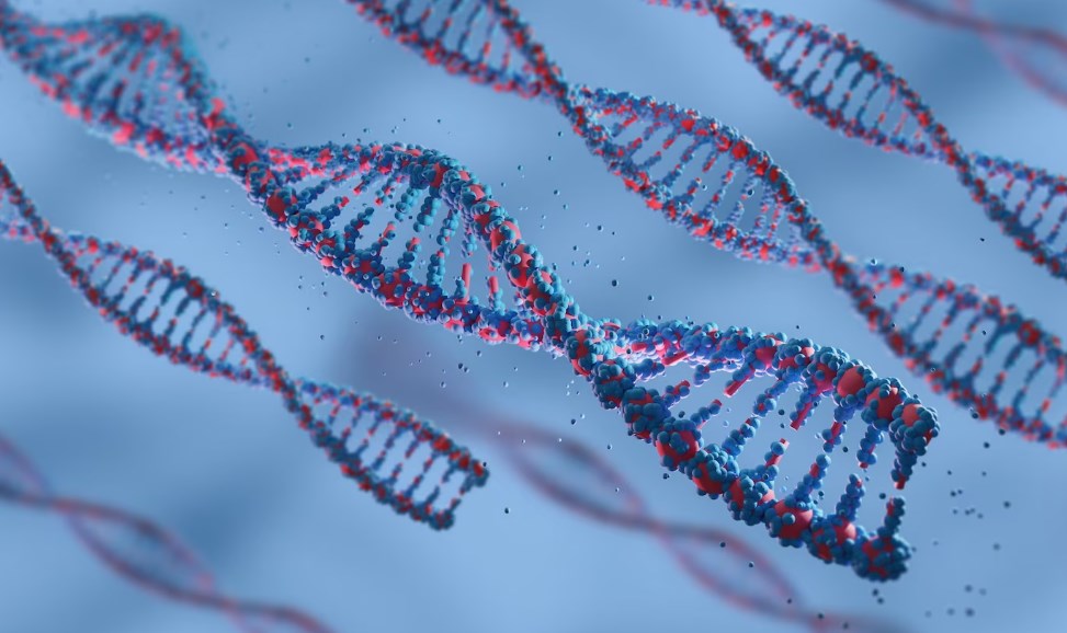 DNA representation in 3D