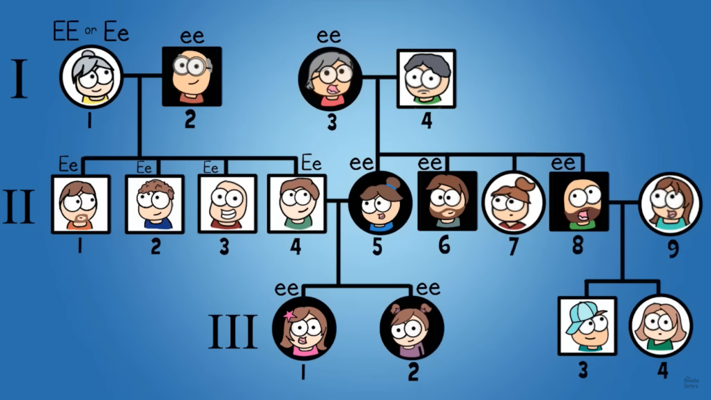 pedigree charts of family members on blue background