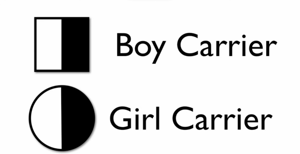 signs means boy and girl carrier