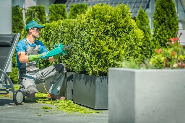 Man grooming plants outdoors