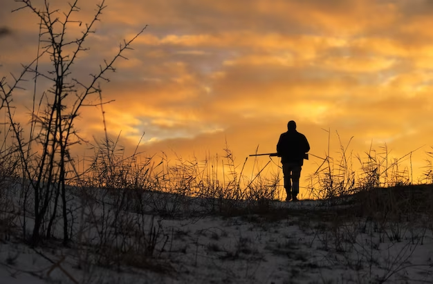 Hunter's silhouette in the forest at sunset