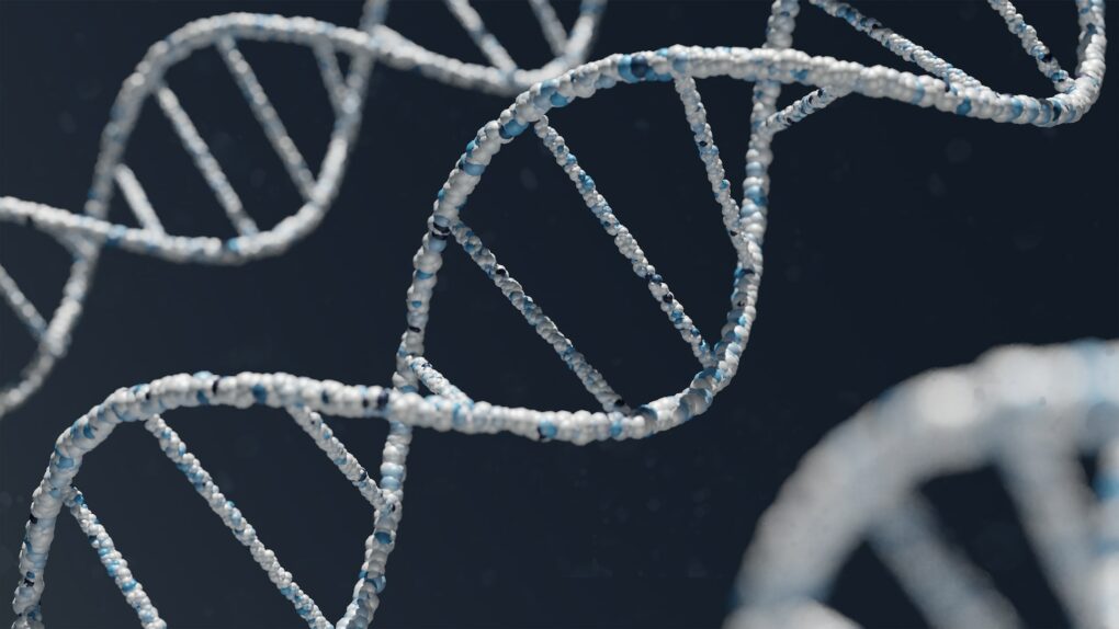 DNA representation in 3D