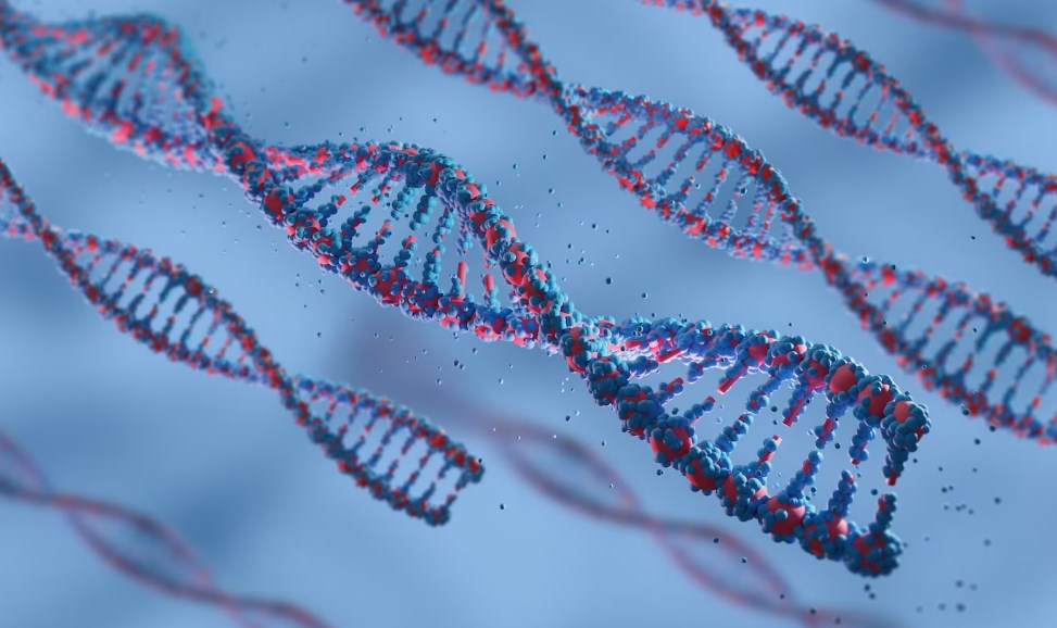 Ancestry DNA Spreadsheet: Insights & Best Practices