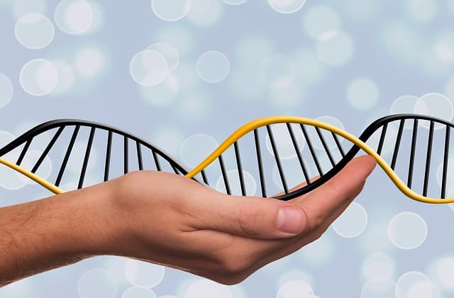 What Genealogical Searches May Lead to