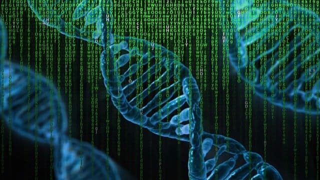 DNA Genealogy of the Slavs – the Mystery of the Origin of Our Ancestors