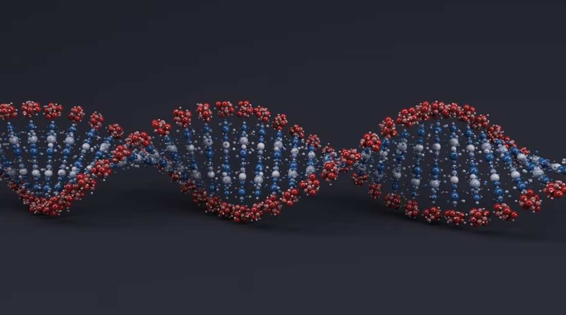 Deciphering Half Relatives in Genetic Genealogy