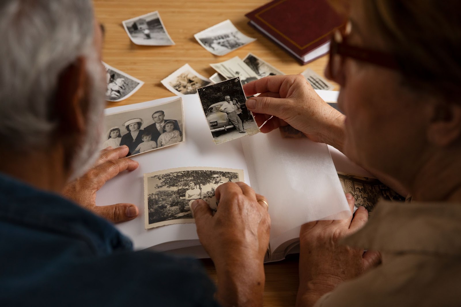 Discovering 2022’s Top Free Genealogy Websites